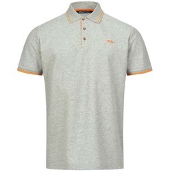 Blaser Polo majica - XL Cene