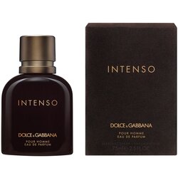 Dolce&gabbana pour homme intenso parfemska voda 75 ml za muškarce Cijene