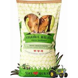 Siglhorse Gmadhe Wies'n Cene