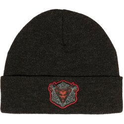Jinx DIABLO IV DAUGHTER OF HATRED BEANIE CHARCOAL HEATHER Cene