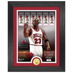 The Highland Mint Michael Jordan 23 Chicago Bulls 6 Time NBA Champ Banners Bronze Coin Photo Mint brončana kovanica i fotografija u okviru Cene