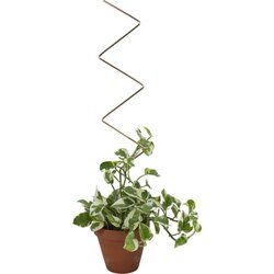 Botanopia Podpora za rastline - ZigZag Cene