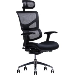ERGOVISION pisarniški stol smart 02 Cene