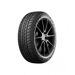 Evergreen Guma zimska 205/60R16XL 96H Cene