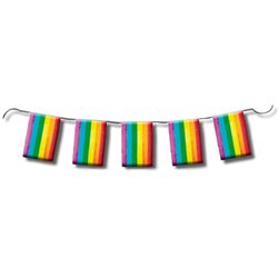 Diverty Sex Guirnalda Barve LGBT FLAG+, (21079502) Cene