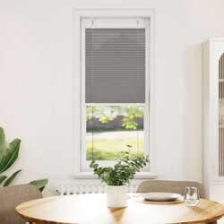 vidaXL Plisirana roleta antracit 40x100 cm širina tkanine 39,4 cm Cijene