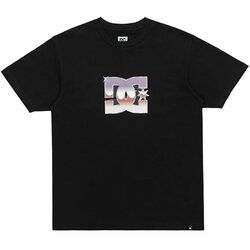 Dc Shoes Metallic Star majica Cene