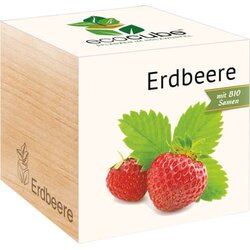 Feel Green ecocube "Jagoda" Cene
