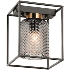 Toolight Stropna svjetiljka APP1264-1C Cijene
