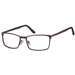 Berkley Berkeley naočare za kompjuter 614 F Cene