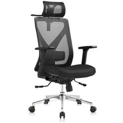 Ergo office plus - Radna anatomska stolica V2 - Crna 683961 Cene
