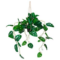 MID.YOU Umetna Rastlina Monstera Climb Cene