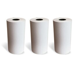 Agfa Thermal Print Paper 3rlx Bl 10YPP Cene