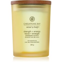Chesapeake Bay Candle Mind & Body Strength & Energy mirisna svijeća 250 g Cene
