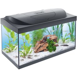 Tetra akvarij Starter Line LED crni 54 l Cene