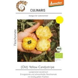 Culinaris Bio mesnat paradižnik Old Yellow Candystripe Cene