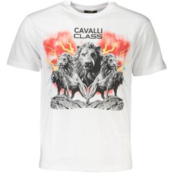 Cavalli Class muška majica Cene