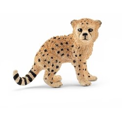 Gepard mladunce Cene