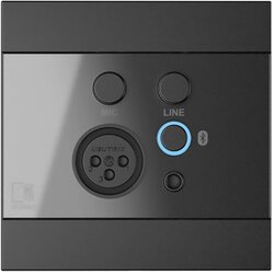 AUDAC WP225 /B Wall Panel, XLR mic + 3.5 mm jack, Bluetooth, black Cene