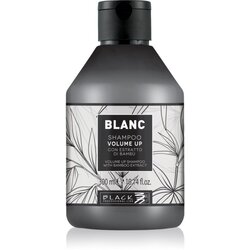 Black Professional Line Line Volume Up Shampoo šampon za volumen za nježnu kosu 300 ml Cene
