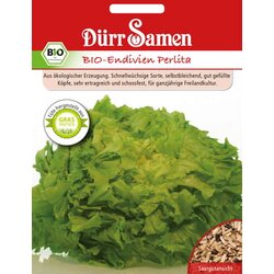 Dürr Samen BIO endivija Perlita Cene