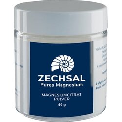 Zechsal magnezijev citrat v prahu - 40 g Cene