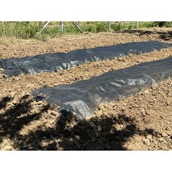VIKTORIJA Agrotekstilna folija Premium ground cover, 1.5x30 m, Crna Cene