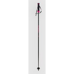 Völkl Phantastick Carbon Poles 2025 Ski Poles uni Cene