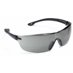  zaštitne naočare rho , tamne, ojačane, anti fog ( 6rho3 ) Cene