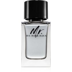 Burberry Mr. toaletna voda za muškarce 100 ml Cene