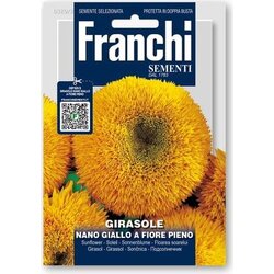 FRANCHI SEMENTI Sončnica "Nano Giallo a fiore pieno" Cene