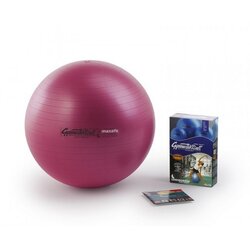 Ledragomma PEZZI GymBall MAX žoga, roza, škatla, 42 cm Cene