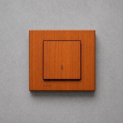 Walnut Naizmeničan prekidač ( 9862 ) Cene