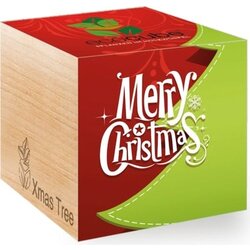 Feel Green ecocube "Xmas" - Xmas 1 Cene