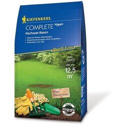 KIEPENKERL Profi-Line Complete trava za obnovitev in popravila - 250 g Cene