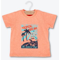 Chicco majica sa kratkim rukavima za bebe 09006934000000-046 Cene