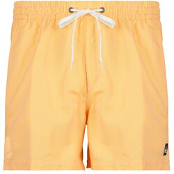 Quiksilver EVERYDAY DELUXE VOLLEY 15 žuta Cene