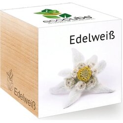 Feel Green ecocube "Planika" - Izvirna planika Cene