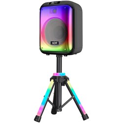 NDR Zvučnik Bluetooth -102B 60W 12" sa mikrofonom i stalkom Crni Cene