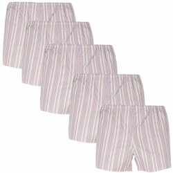 Foltýn 5PACK classic men's shorts brown with stripes Cene