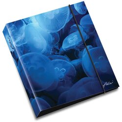 Akta Mapa – Ego, A4, z mehaniko, Meduze Cene