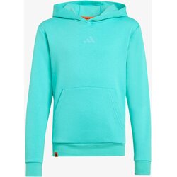 Adidas Dukserica Minecraft Terrex Cene