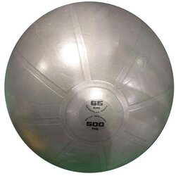 Toorx Gimnastična žoga PRO AHF-148, 65 cm, siva Cene
