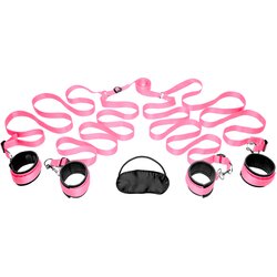 Frisky Pink Bedroom Restraint Kit Pink Cene