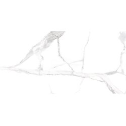 Eco Ceramic alsacia 60X120 M81 Cene