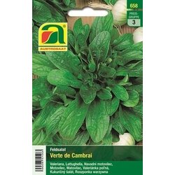 AUSTROSAAT Solata "Verte de Cambrai" Cene