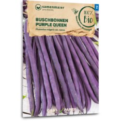 Samen Maier Bio grmičasti fižol "Purple Queen" Cene