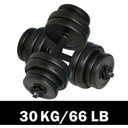vidaXL Uteži 2 x 15 kg, (20624736) Cene