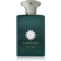 Amouage Enclave parfumska voda 100 ml za moške Cene
