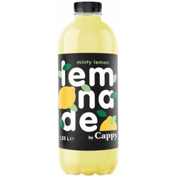 Next lemonade limun, mint sok 1,25L pet Cene